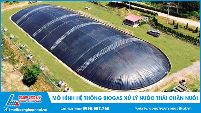 Hệ thống biogas xử lý nước thải chăn nuôi