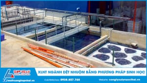 Xử lý nước thải ngành dệt nhuộm bằng phương pháp sinh học