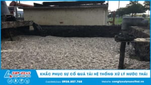 khắc phục sự cố quả tải hệ thống xử lý nước thải