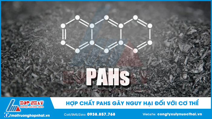 Hợp chất PAHs gây nguy hại đối với cơ thể