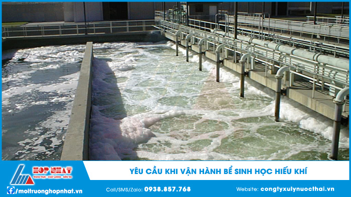 Vận hành bể sinh học hiếu khí