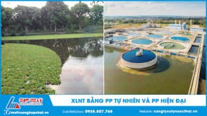 Xử lý nước thải bằng phương pháp tự nhiên và hiện đại