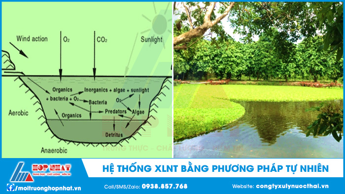 Xử lý nước thải bằng phương pháp tự nhiên