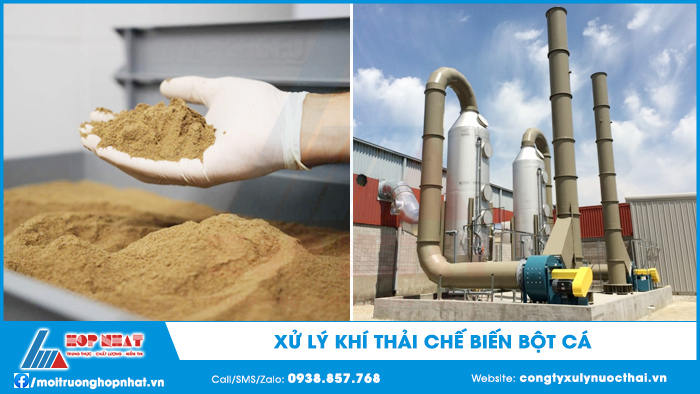 Xử lý khí thải chế biến bột cá