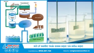 So sánh quy trình xử lý nước thải sinh học và hóa học