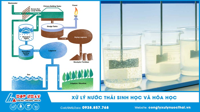 So sánh quy trình xử lý nước thải sinh học và hóa học