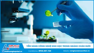 Công nghệ sinh học trong ngành chăn nuôi