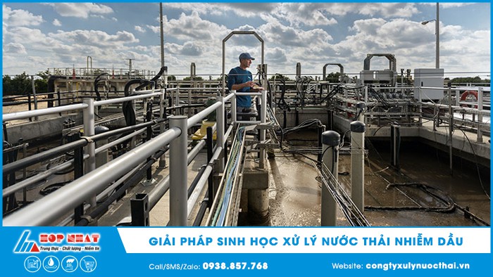 giải pháp sinh học xử lý nước thải nhiễm dầu