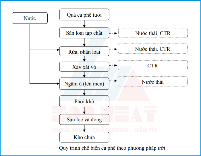 Quy trình chế biến cà phê theo phương pháp ướt