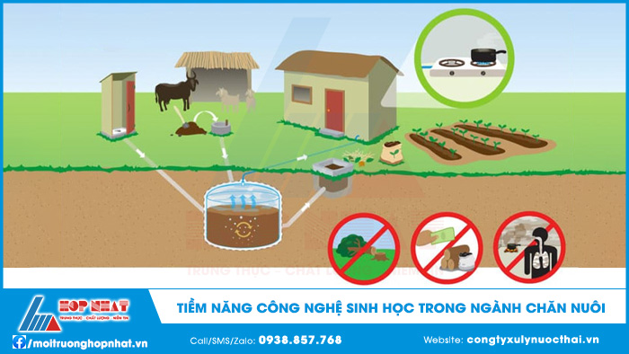 xử lý nước thải từ hầm biogas