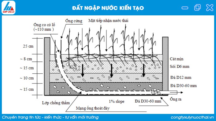 đất ngập nước kiến tạo