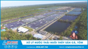 Xử lý nước thải nuôi cá tôm