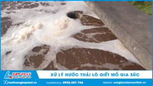 Xử lý nước thải lò giết mổ gia súc