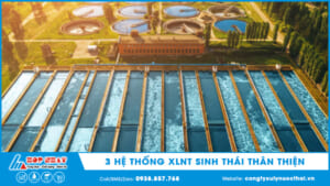 3 hệ thống XLNT sinh thái thân thiện