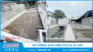 Xử lý nước thải hiếu khí và kỵ khí