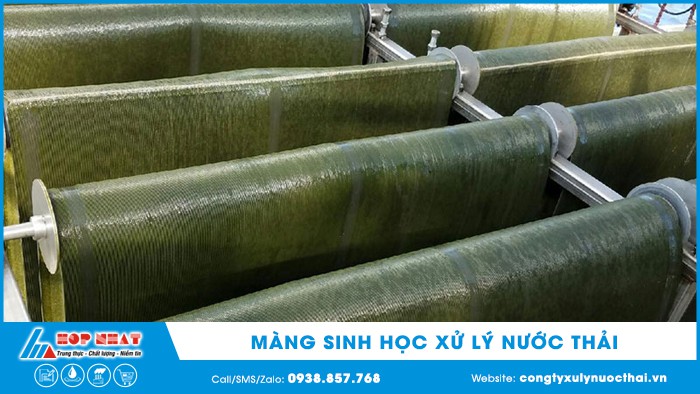 màng sinh học xử lý nước thải