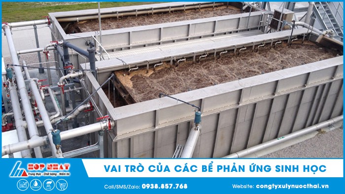 Vai trò của các bể phản ứng sinh học