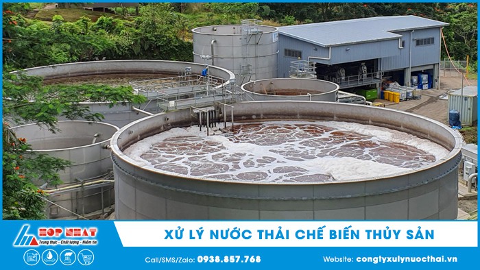 xử lý nước thải chế biến thủy sản