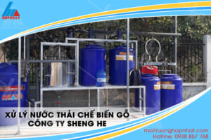 Xử lý nước thải chế biến công ty sheng he