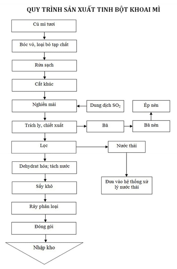 Quy trình sản xuất tinh bột mì