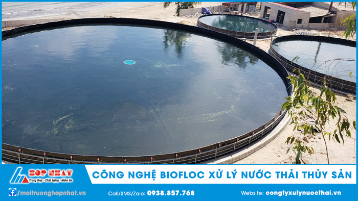 Công nghệ Biofloc xử lý nước thải thủy sản