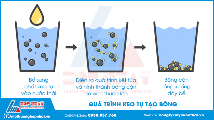 Quá trình keo tụ tạo bông
