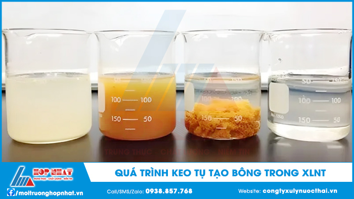 Quá trình keo tụ, tạo bông