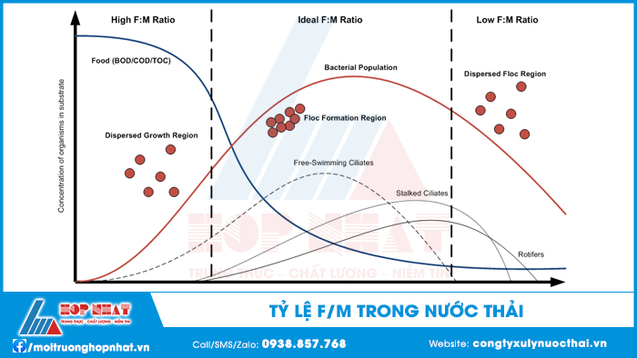 Tỷ lệ FM trong nước thải