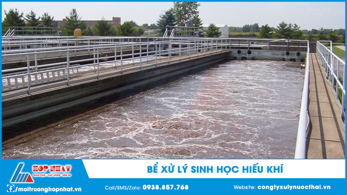 Bể xử lý sinh học hiếu khí