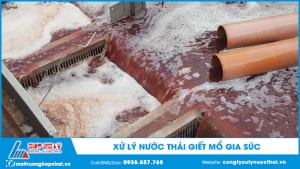Xử lý nước thải giết mổ gia súc