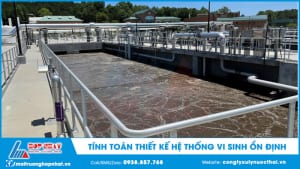 Tính toán thiết kế hệ thống vi sinh hoạt động ổn định, hiệu quả