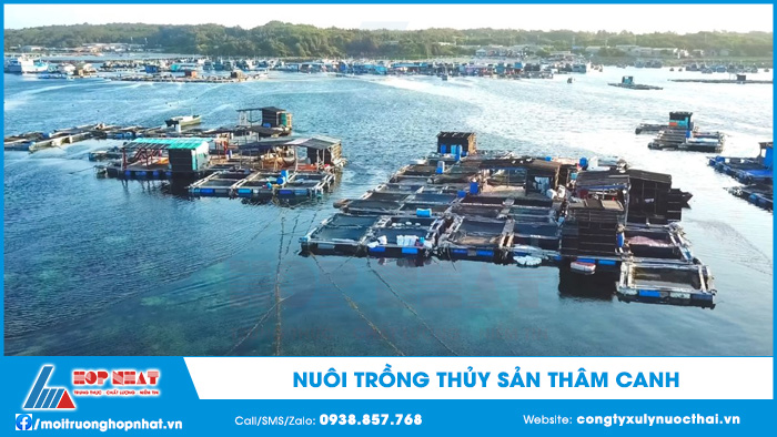Nuôi trồng thủy sản thâm canh