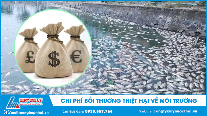 Chi phí bồi thường thiệt hại về môi trường