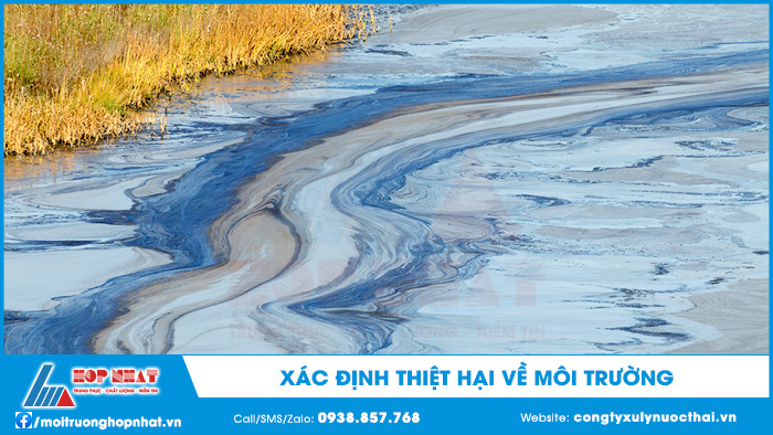 Xác định thiệt hại về môi trường