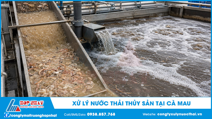 xu-ly-nuoc-thai-thuy-san-tai-ca-mau